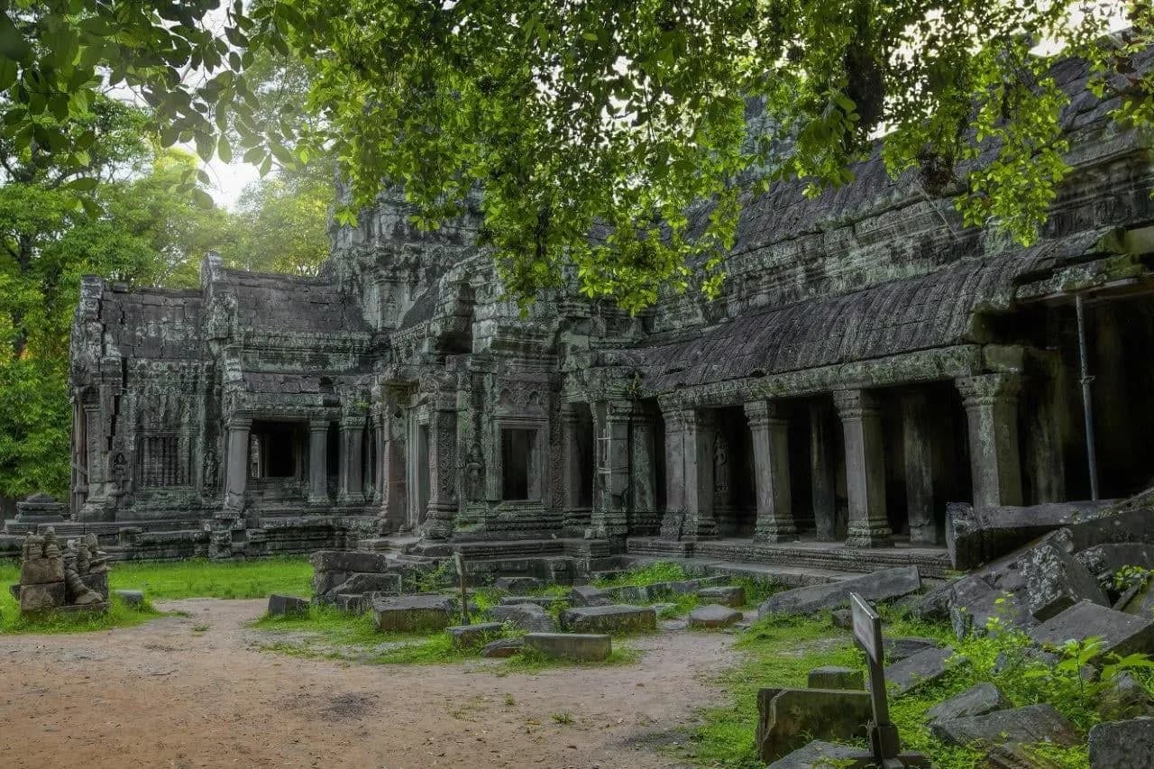 Collapsed stone galleries of an Angkor temple among tall trees