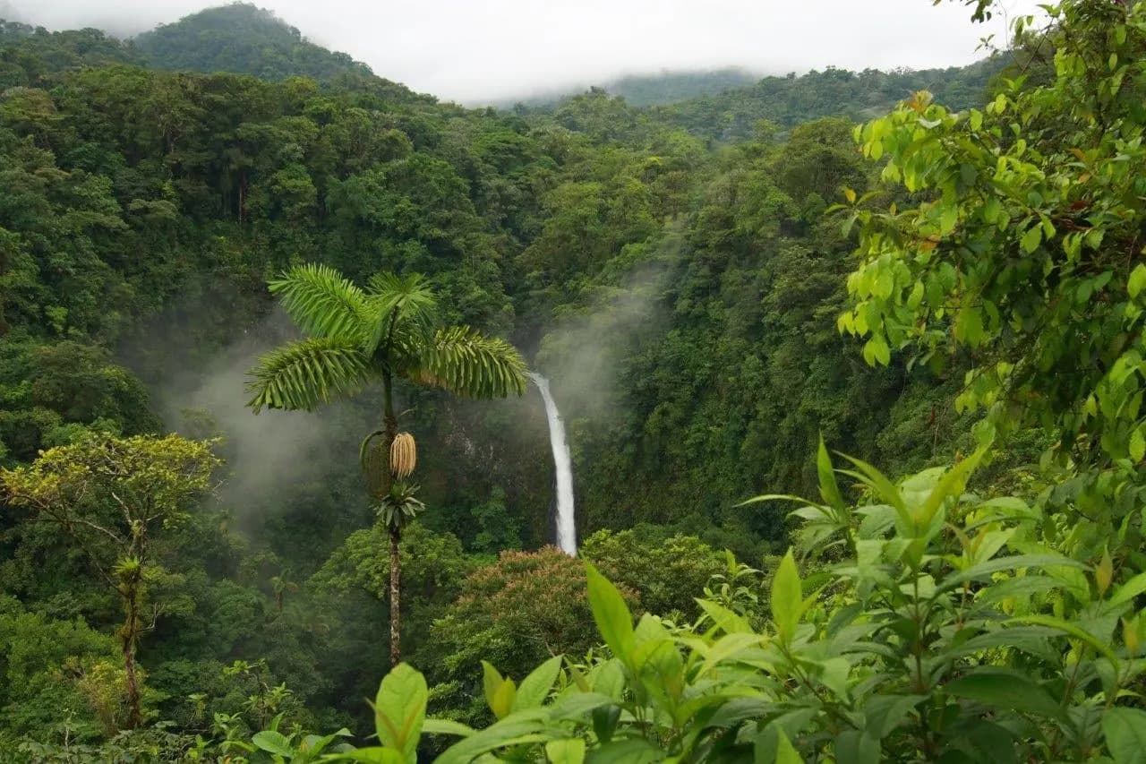 A tall waterfall falling through misty rainforest hills