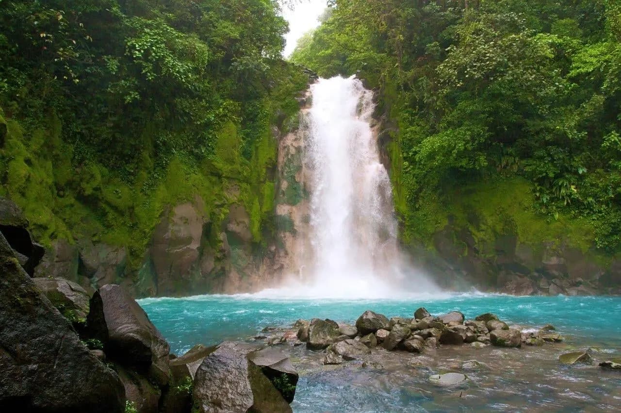 A waterfall dropping into a turquoise pool edged with rocks and forest