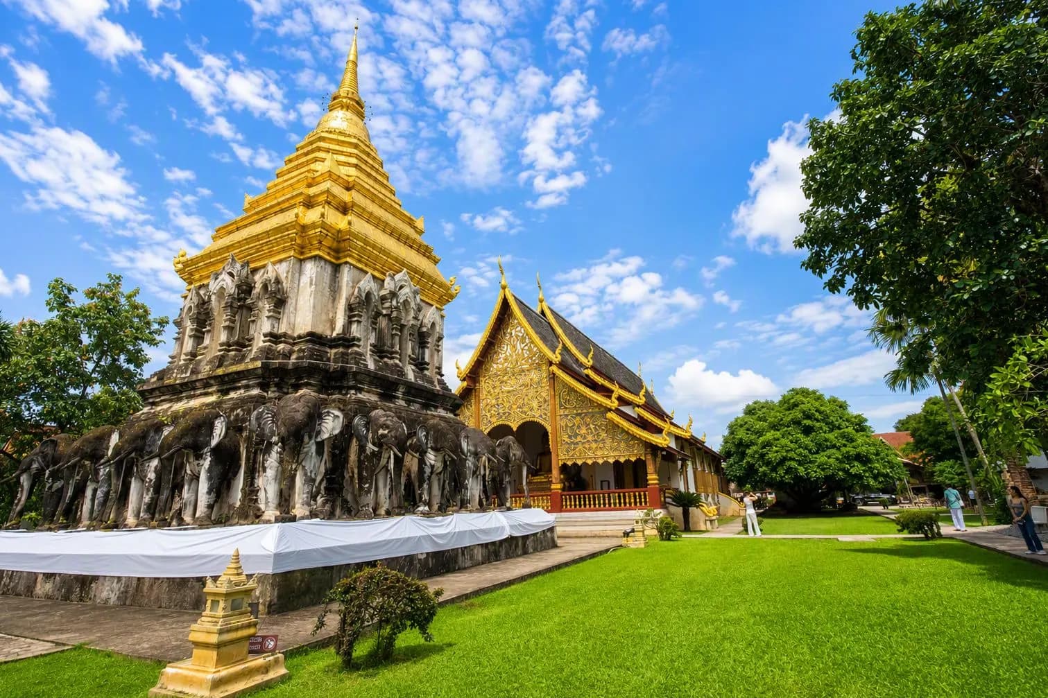 A golden chedi rising from a base of elephant sculptures in Chiang Mai