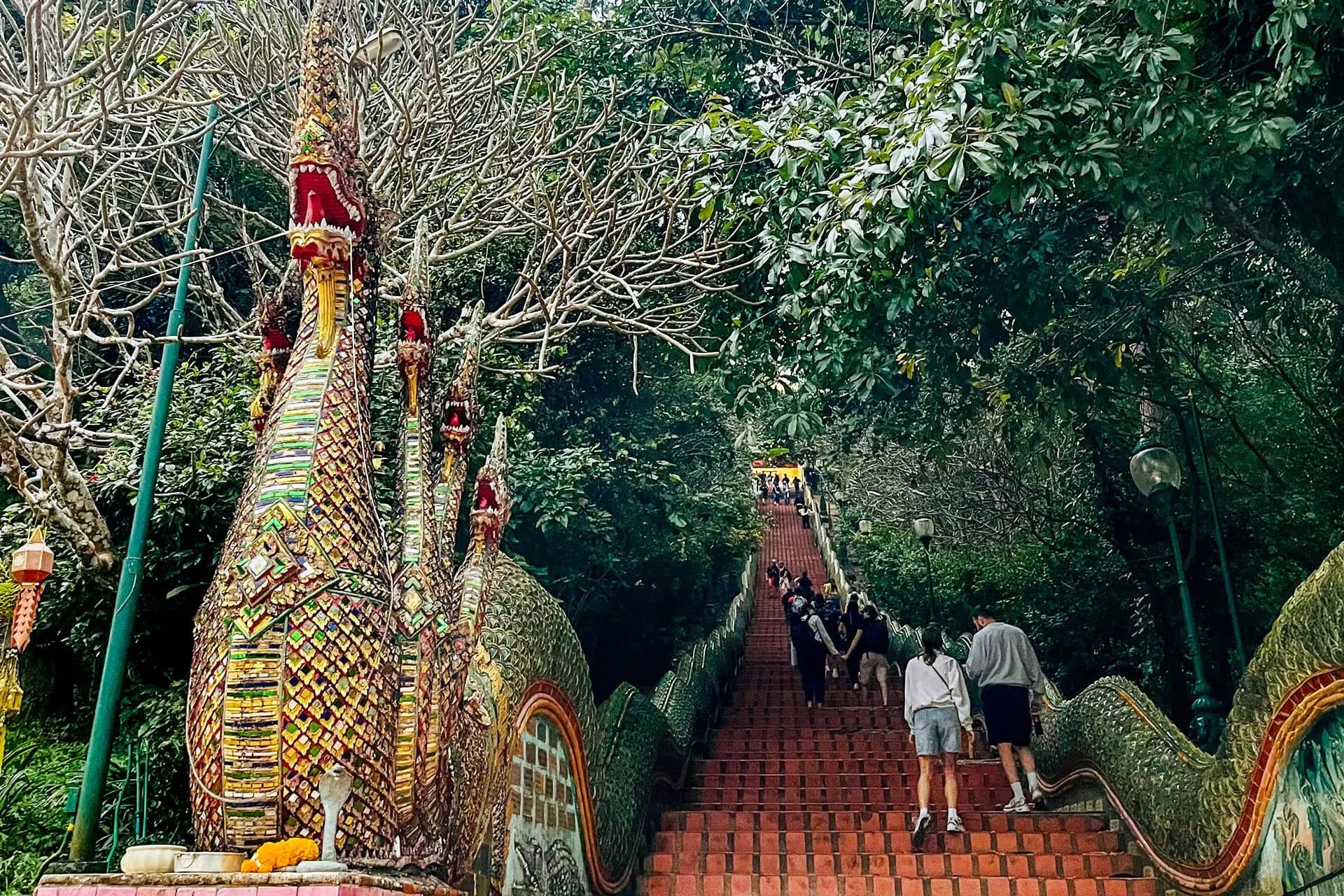 The naga staircase climbing through the forest to Wat Phra That Doi Suthep