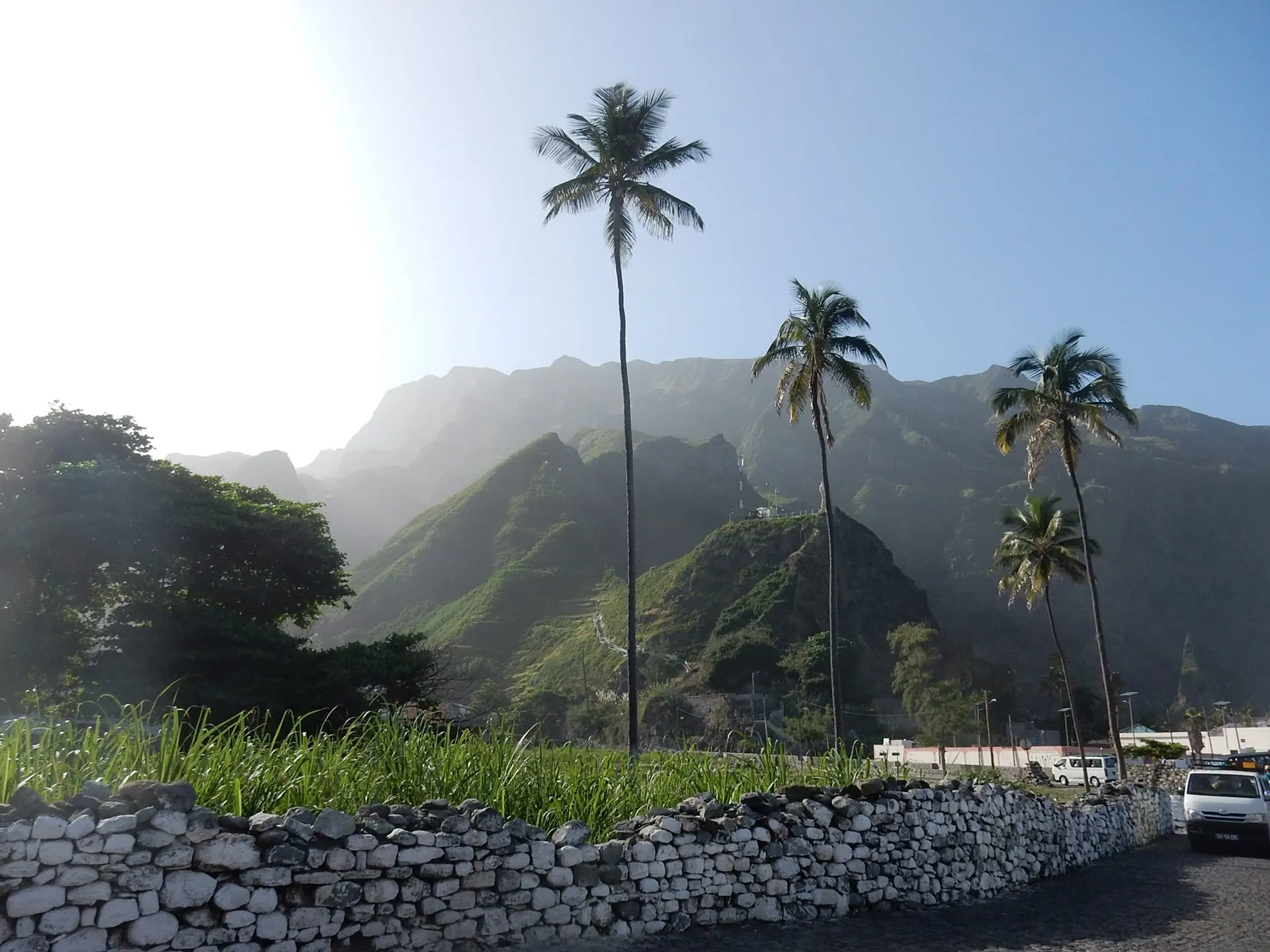 Tall palms and a stone wall beneath misty green mountains
