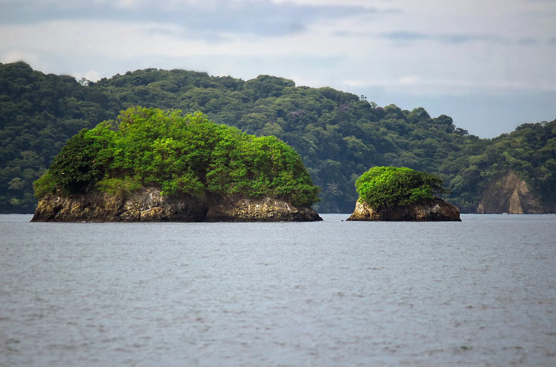 Two small forested islands rising from calm sea