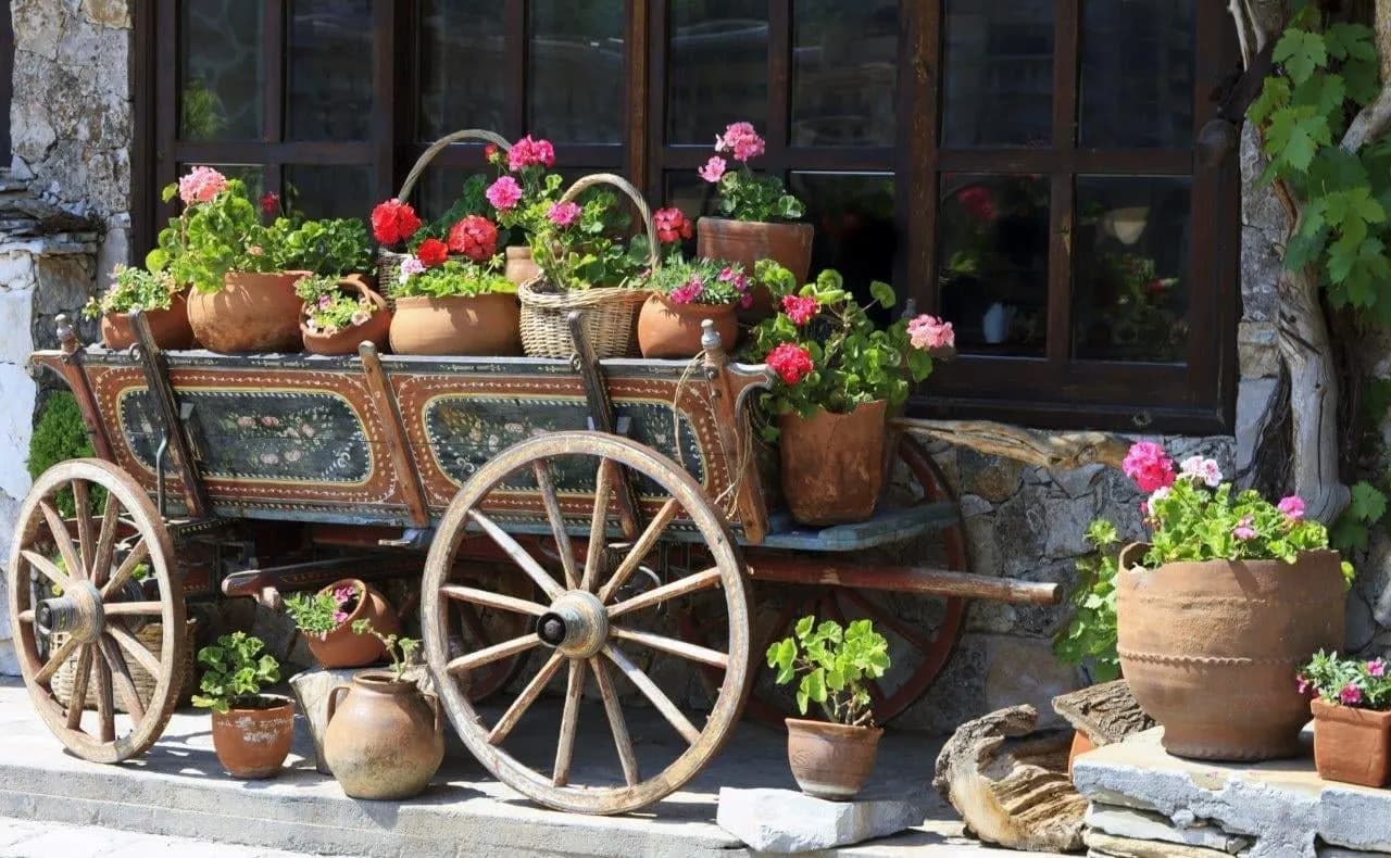 An old painted cart filled with potted geraniums