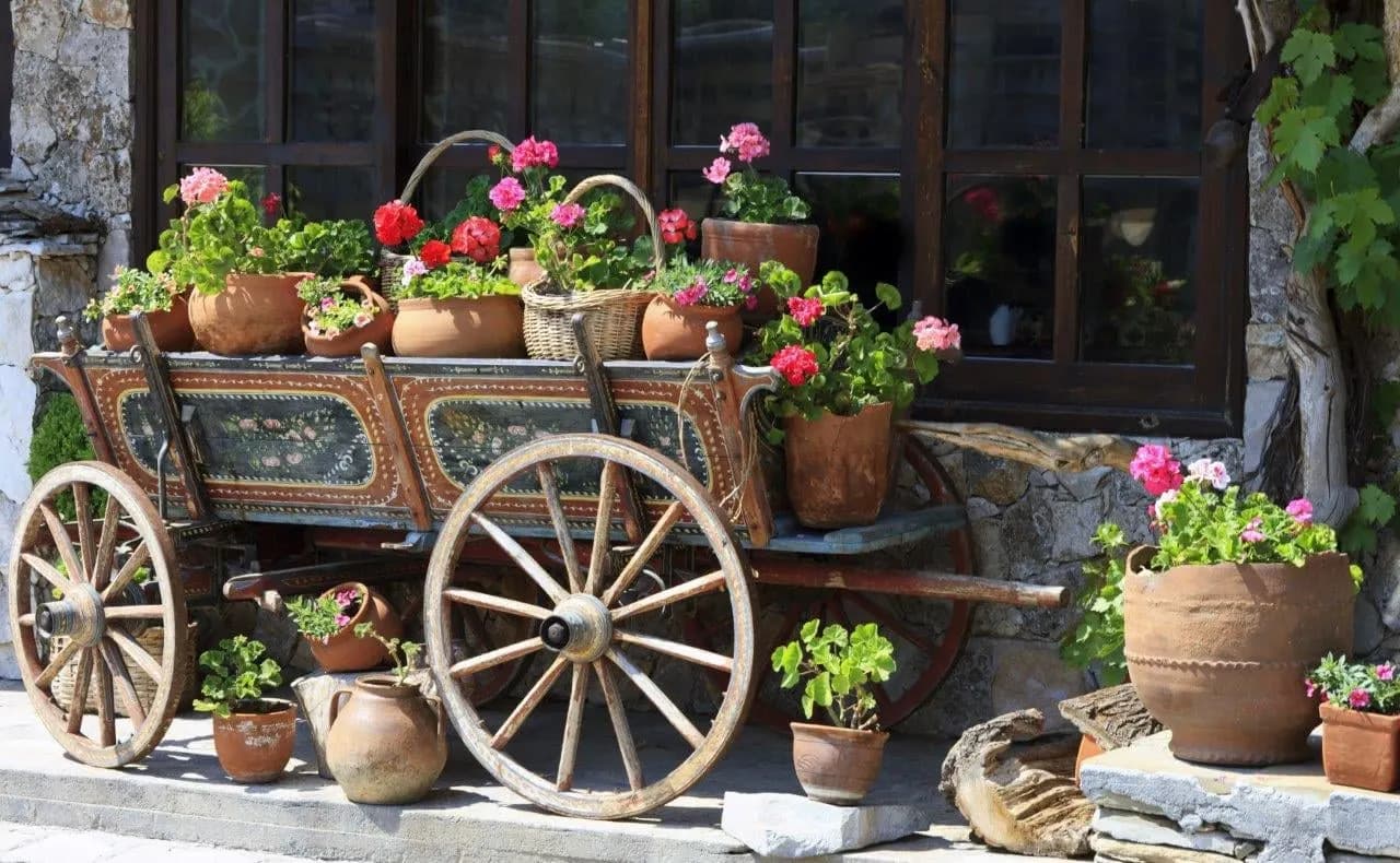 An old painted cart filled with potted geraniums