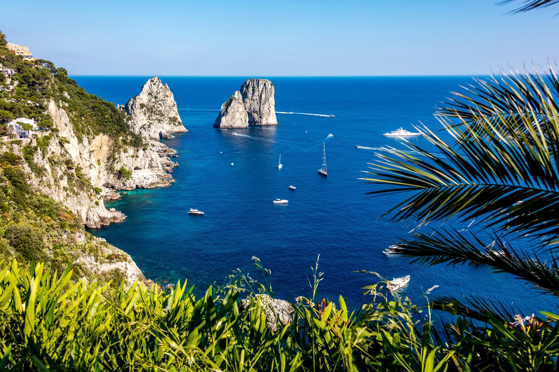 The Faraglioni rocks off Capri in a deep blue sea, framed by palm fronds