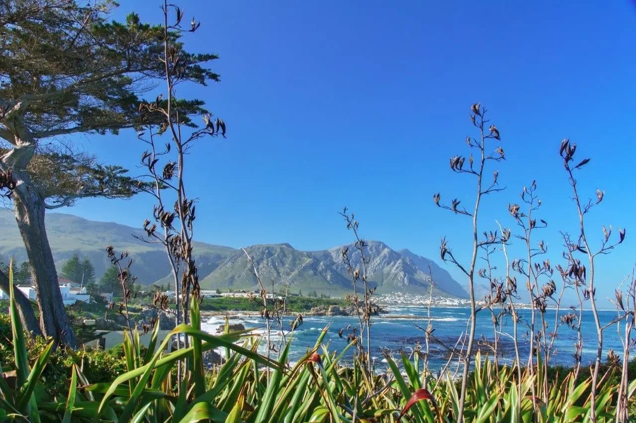 The rocky coast of Walker Bay at Hermanus, with mountains behind