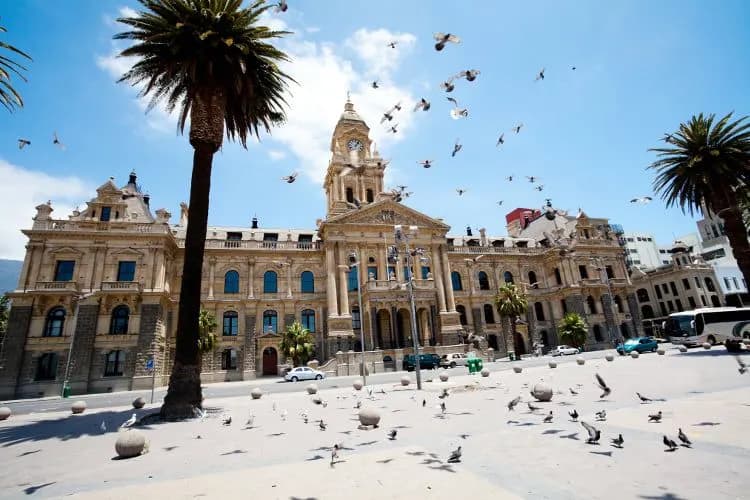 Cape Town City Hall on the Grand Parade, with palms and pigeons