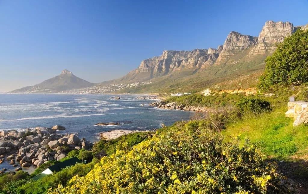 Yellow wildflowers and granite boulders on the Atlantic coast, with Lion's Head and the Twelve Apostles beyond