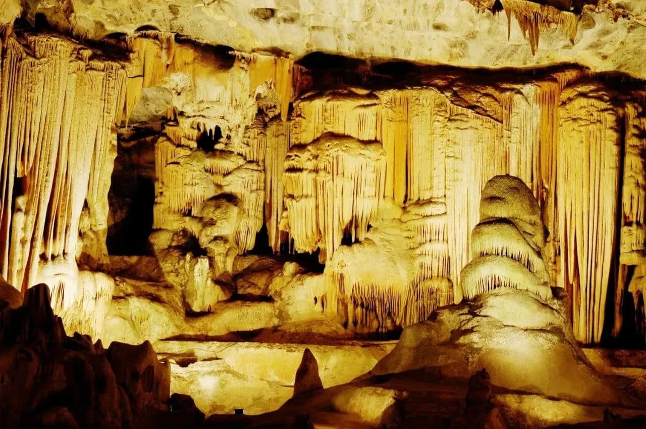 Ostriches and the Cango Caves