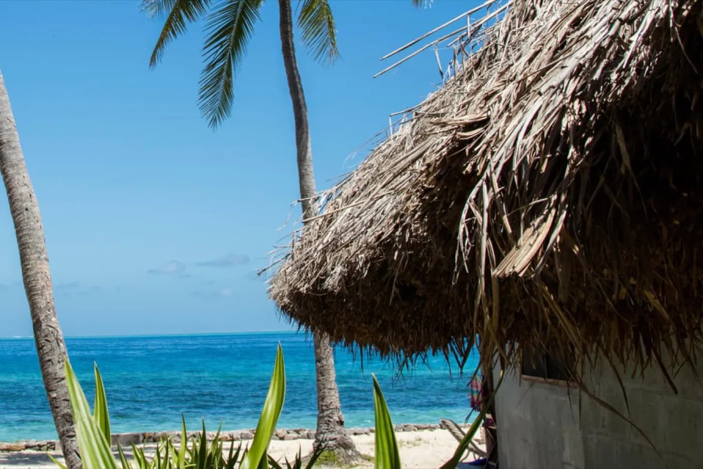 Beachfront bure