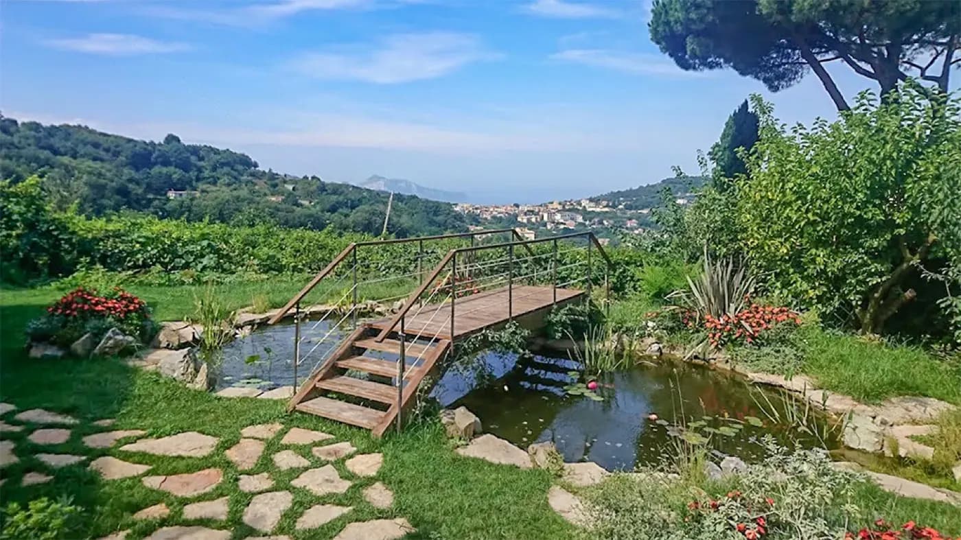 Garden pond and bridge