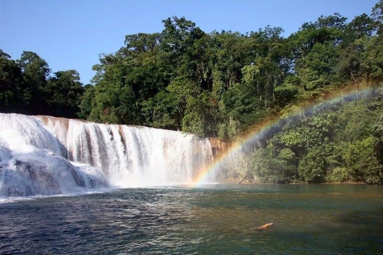 A wide waterfall with a rainbow over the pool, edged by rainforest