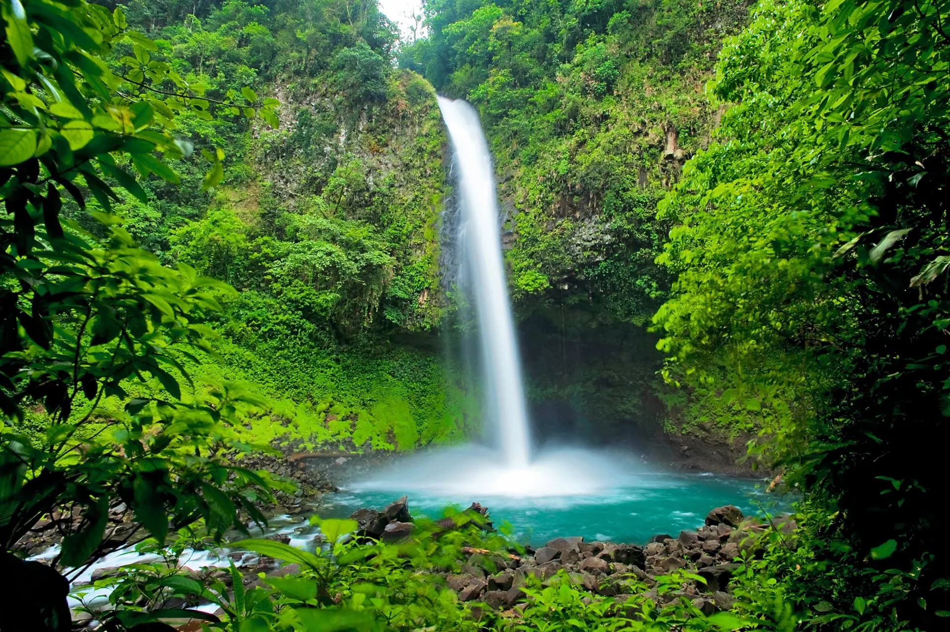 A tall waterfall falling into a turquoise pool in green rainforest