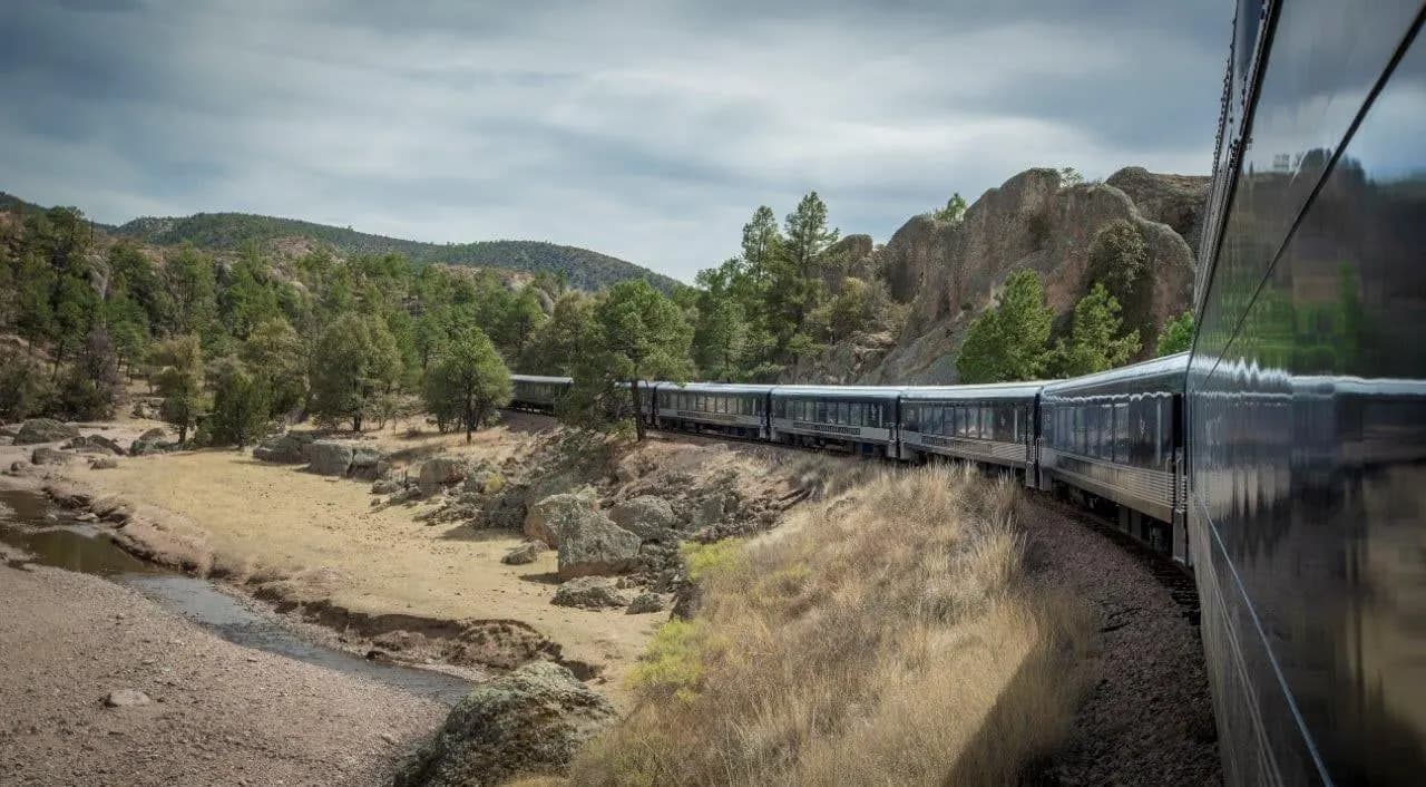 A passenger train curving through pine forest and rocky hills in the Sierra Tarahumara