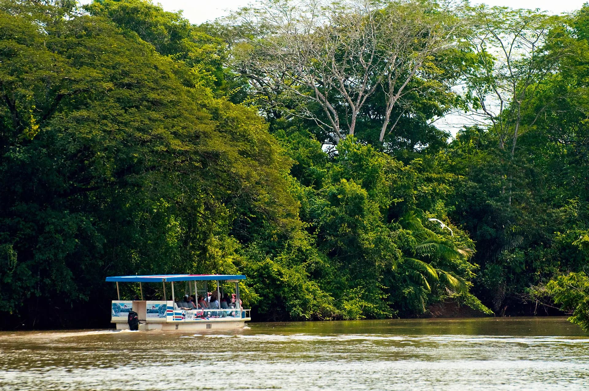 A covered riverboat on a jungle river lined with tall trees