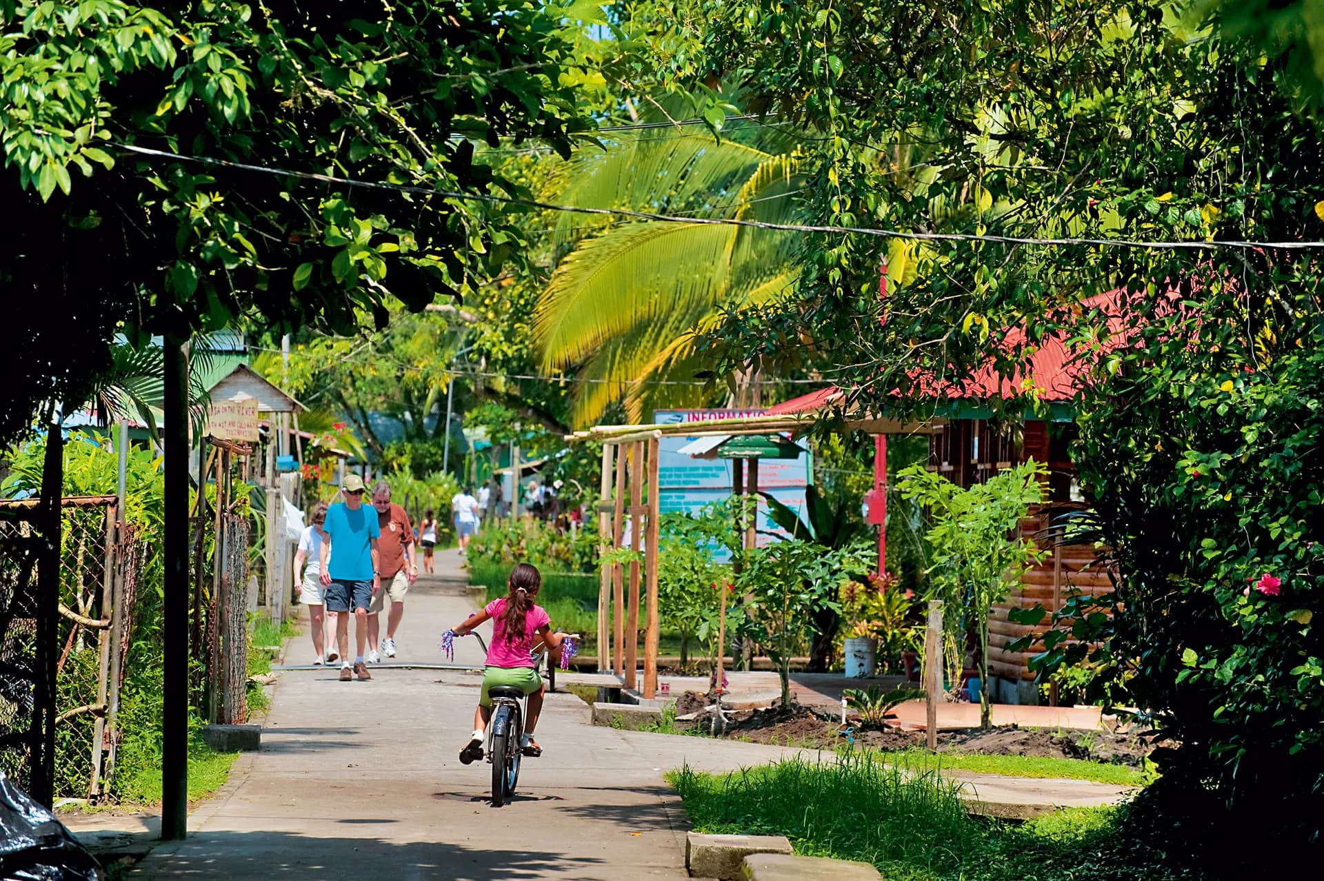A palm-lined footpath through Tortuguero village