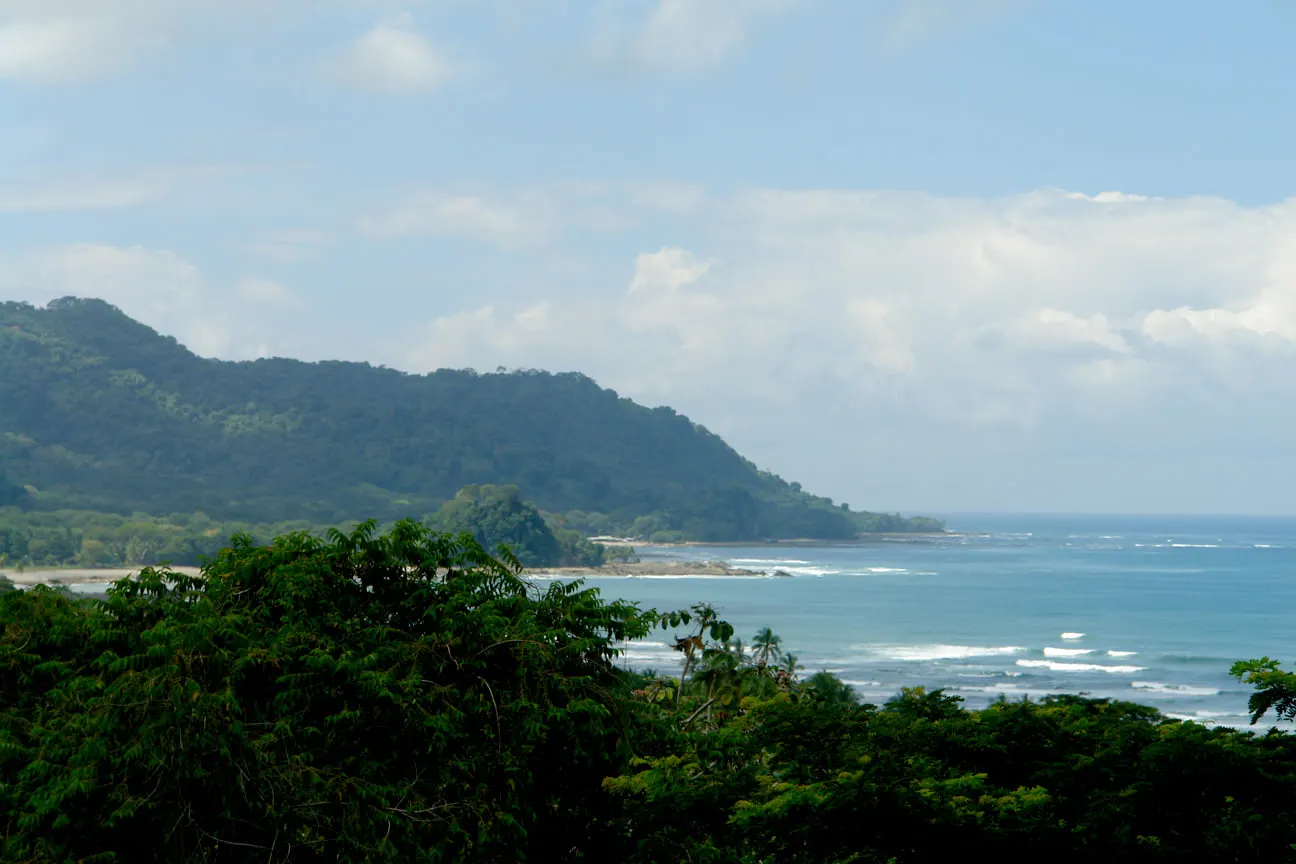 Forested headland and blue sea along the Pacific coast