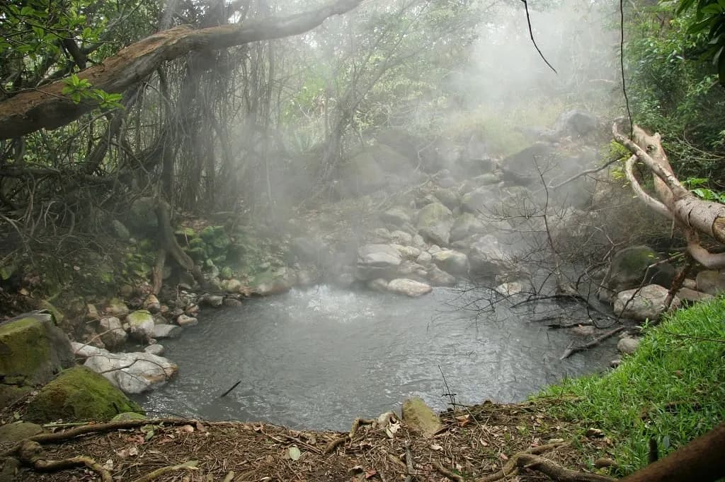 Steam rising from a hot volcanic pool among rocks and trees