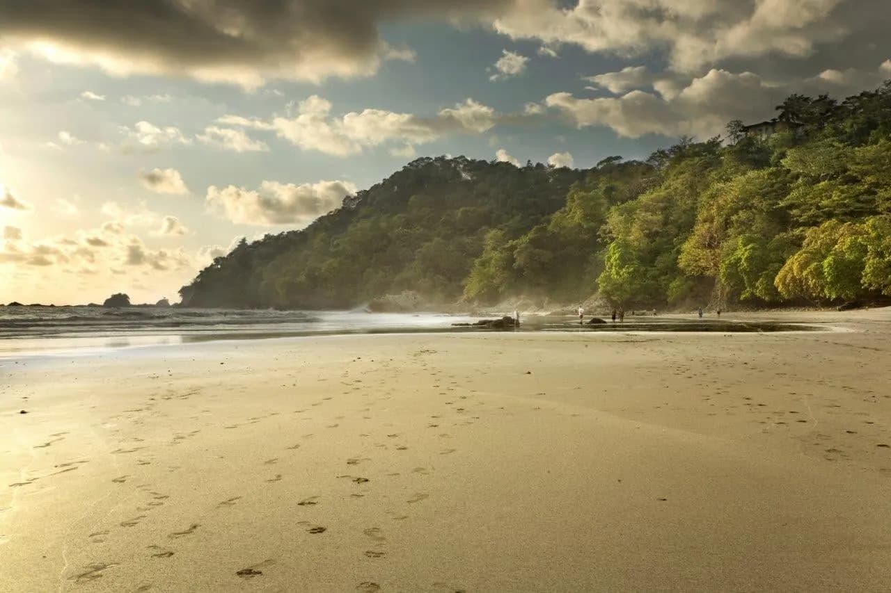 A wide sandy beach below a forested headland in soft evening light