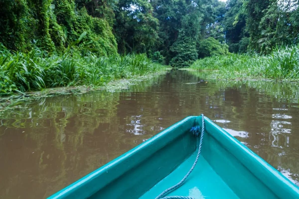The bow of a turquoise boat on a jungle canal