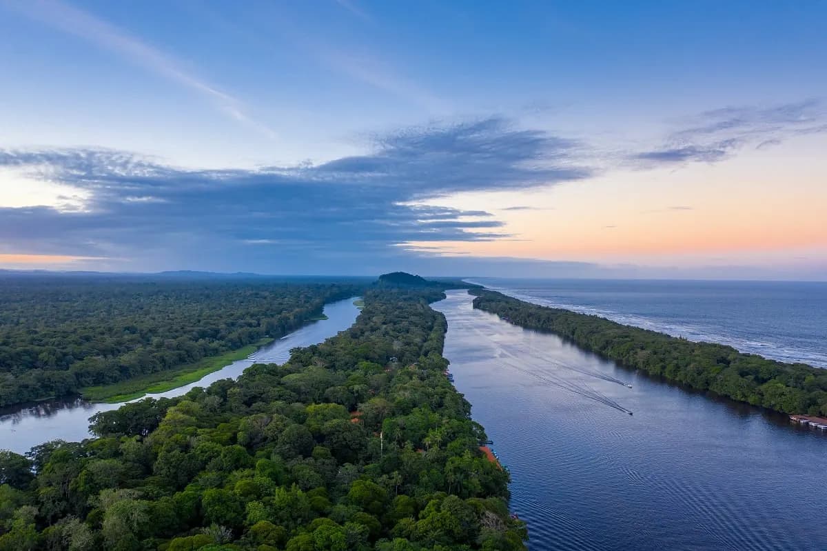 Aerial view of a river running through rainforest beside the Caribbean at dusk
