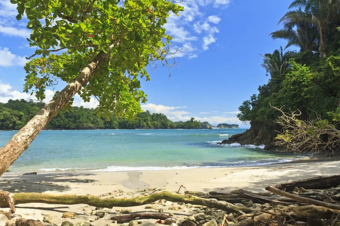 A quiet cove of turquoise water and pale sand fringed by forest at Manuel Antonio