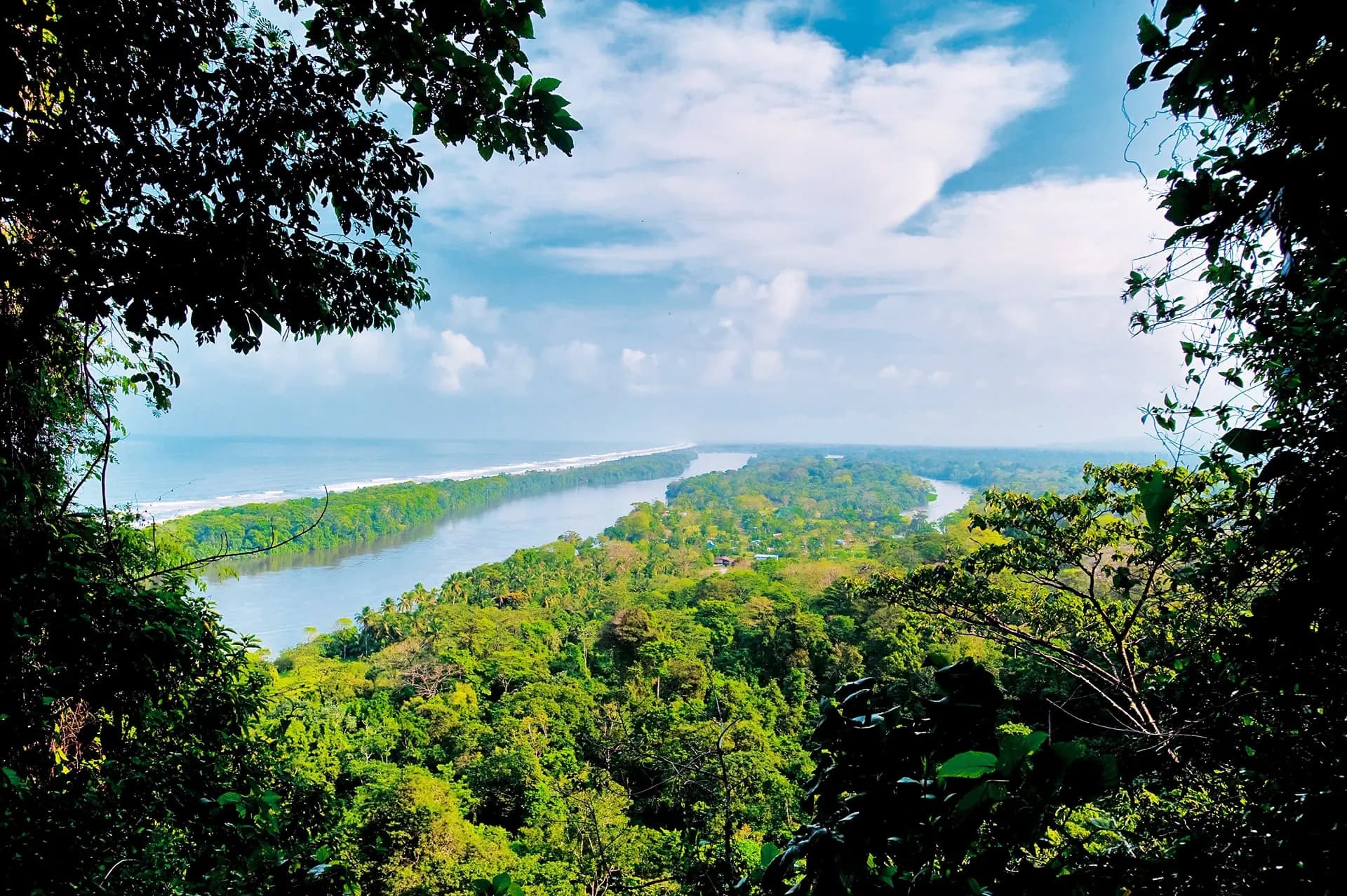 A long lagoon between rainforest and the sea, seen through the trees