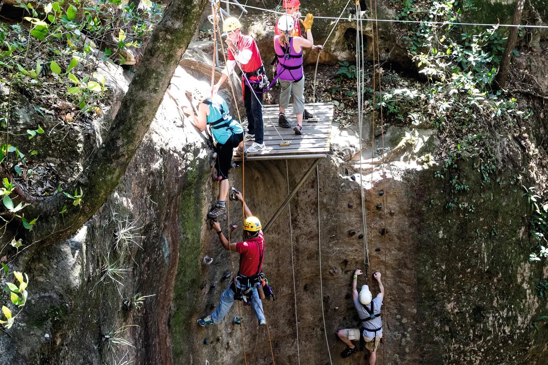 Rappellers in helmets descending a rock wall in a forest canyon
