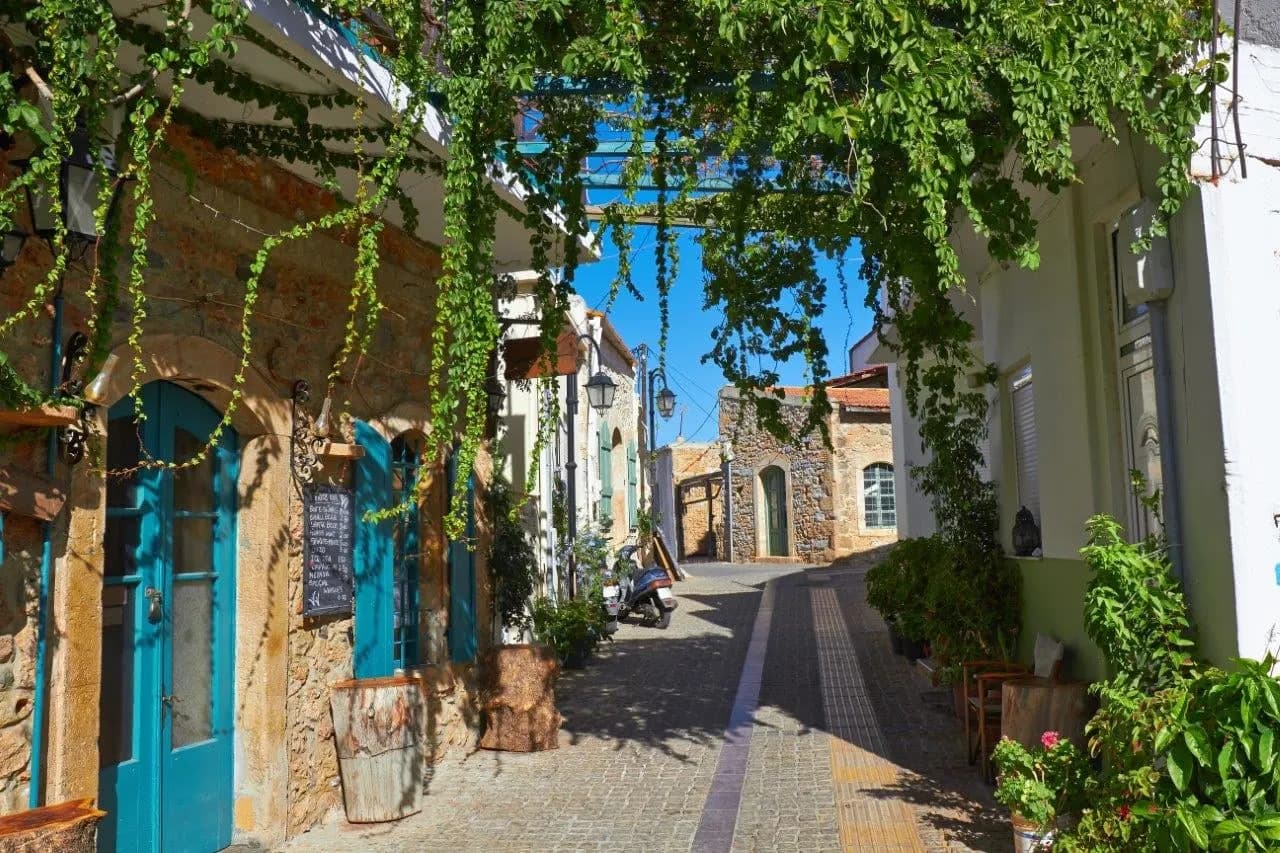 A narrow lane shaded by vines, with blue doors and potted plants