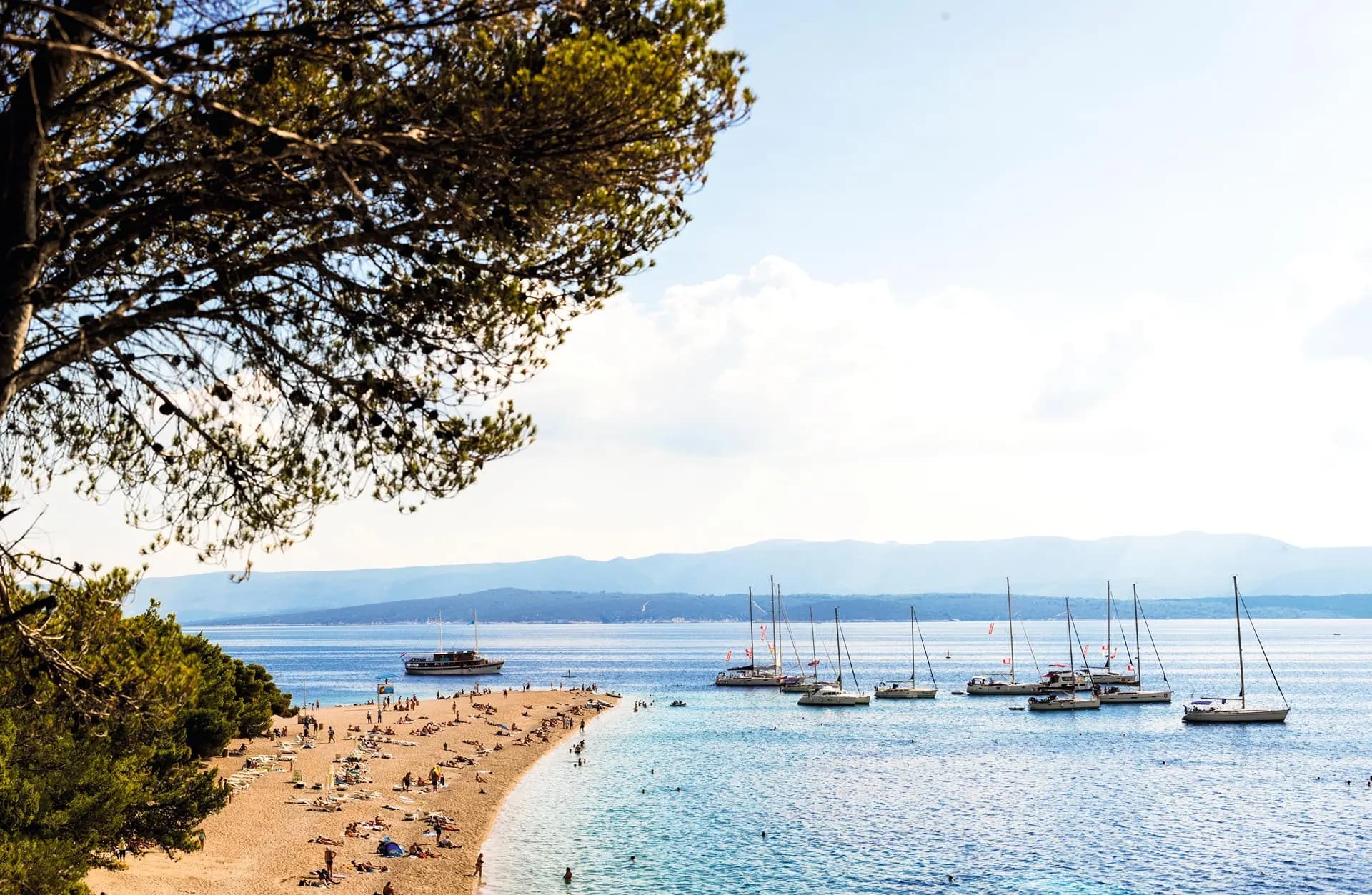 Yachts anchored off the beach at Bol, framed by pine branches