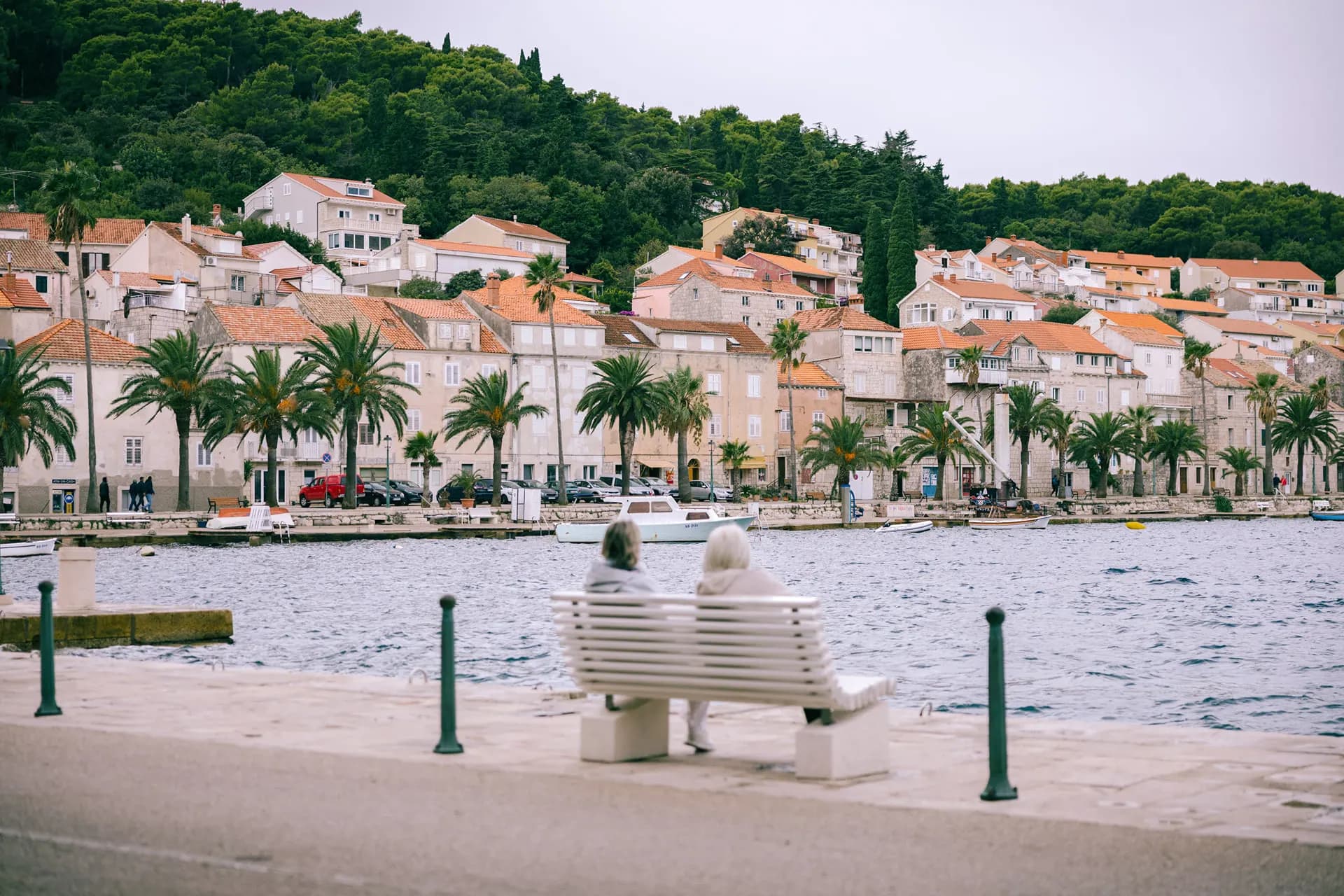 A bench on a palm-lined island waterfront facing the sea