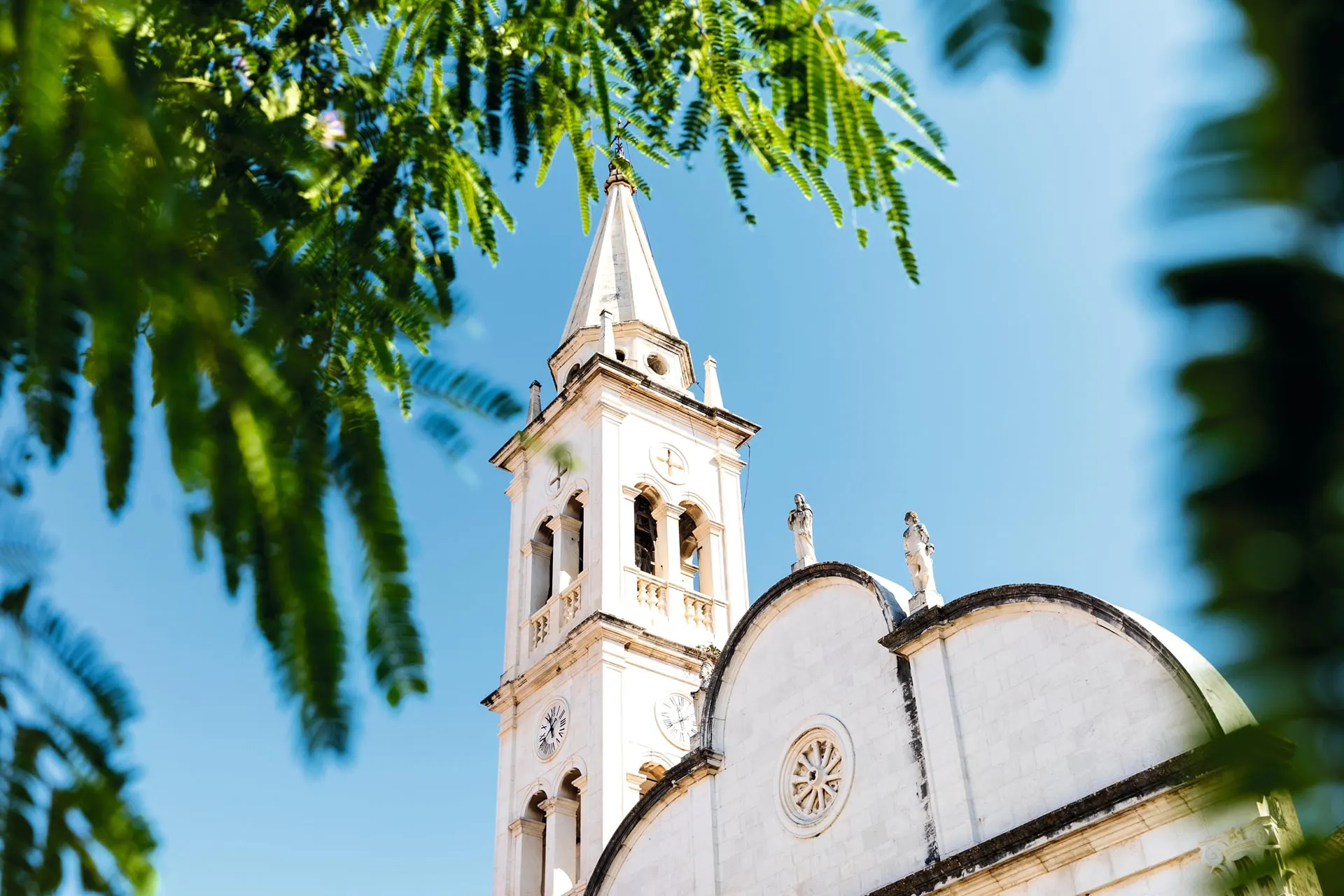 A white stone bell tower and church front framed by pine branches