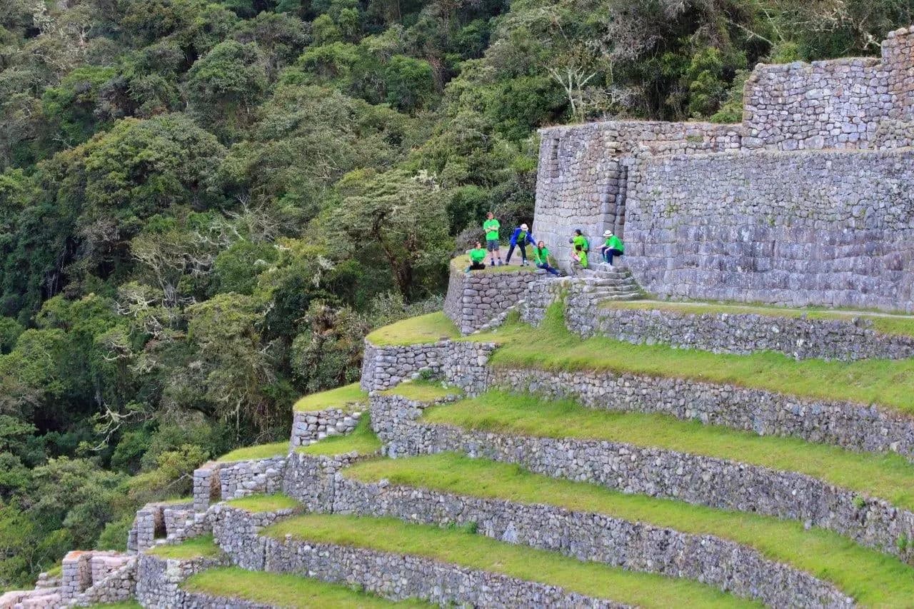 Inca stone terraces climbing a forested mountainside