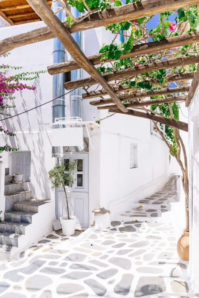 A whitewashed lane with white steps, a vine pergola and pink bougainvillea