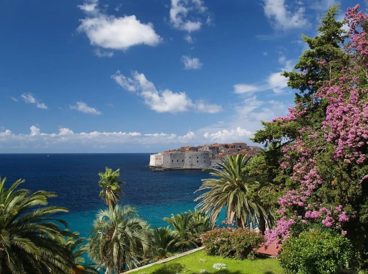 Palms and flowering bougainvillea framing a view across the sea to the old town