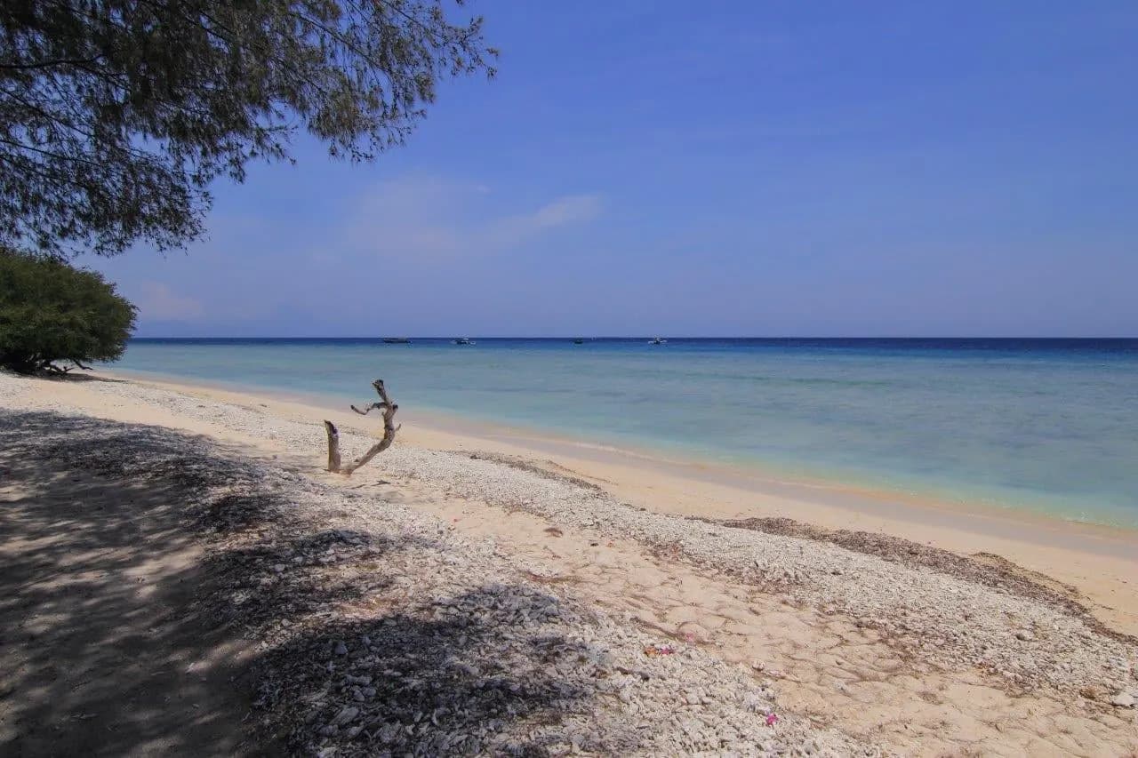A quiet sandy beach and calm sea under a shady tree