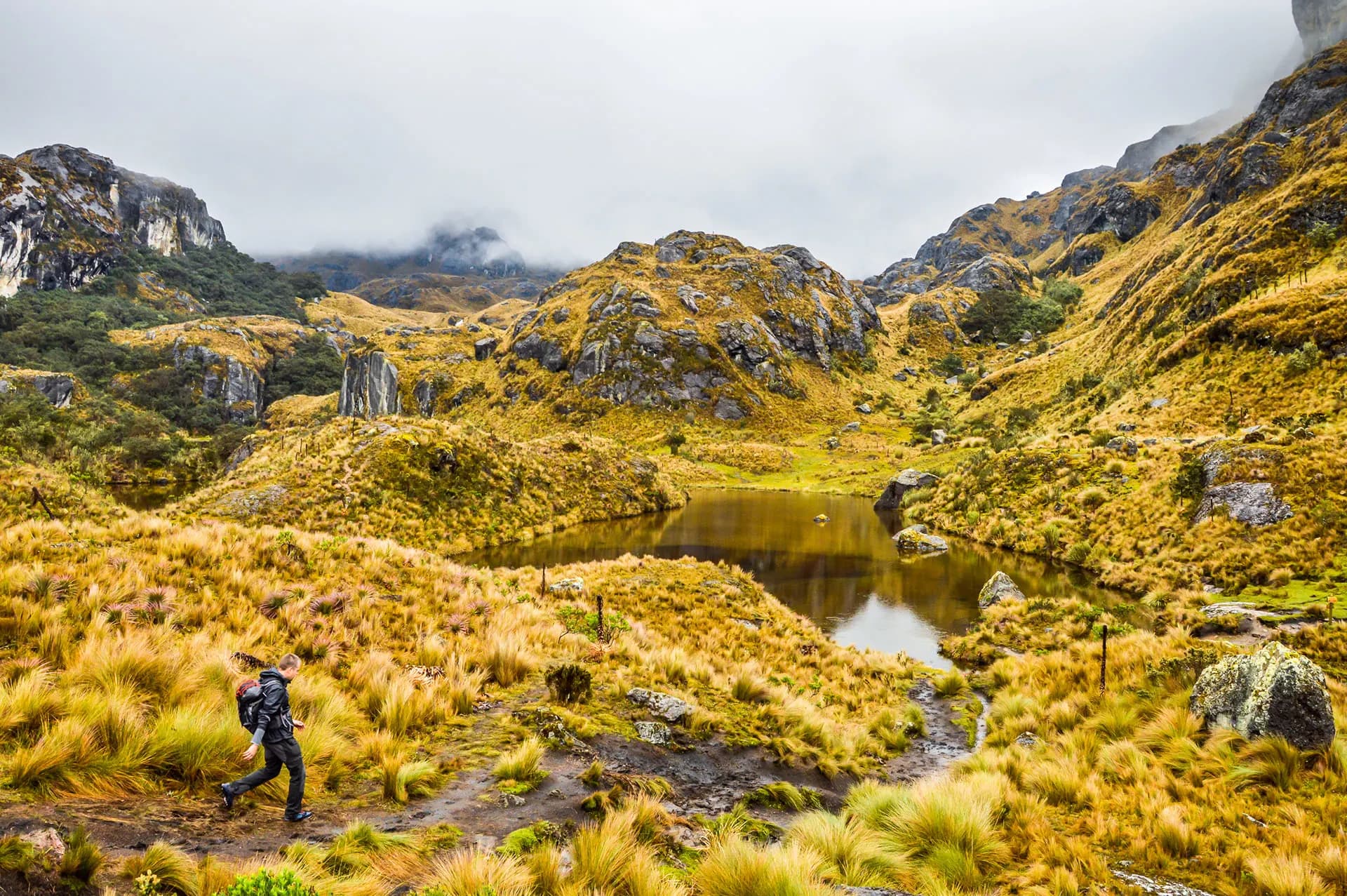 Golden highland grass and a small lake in Cajas National Park
