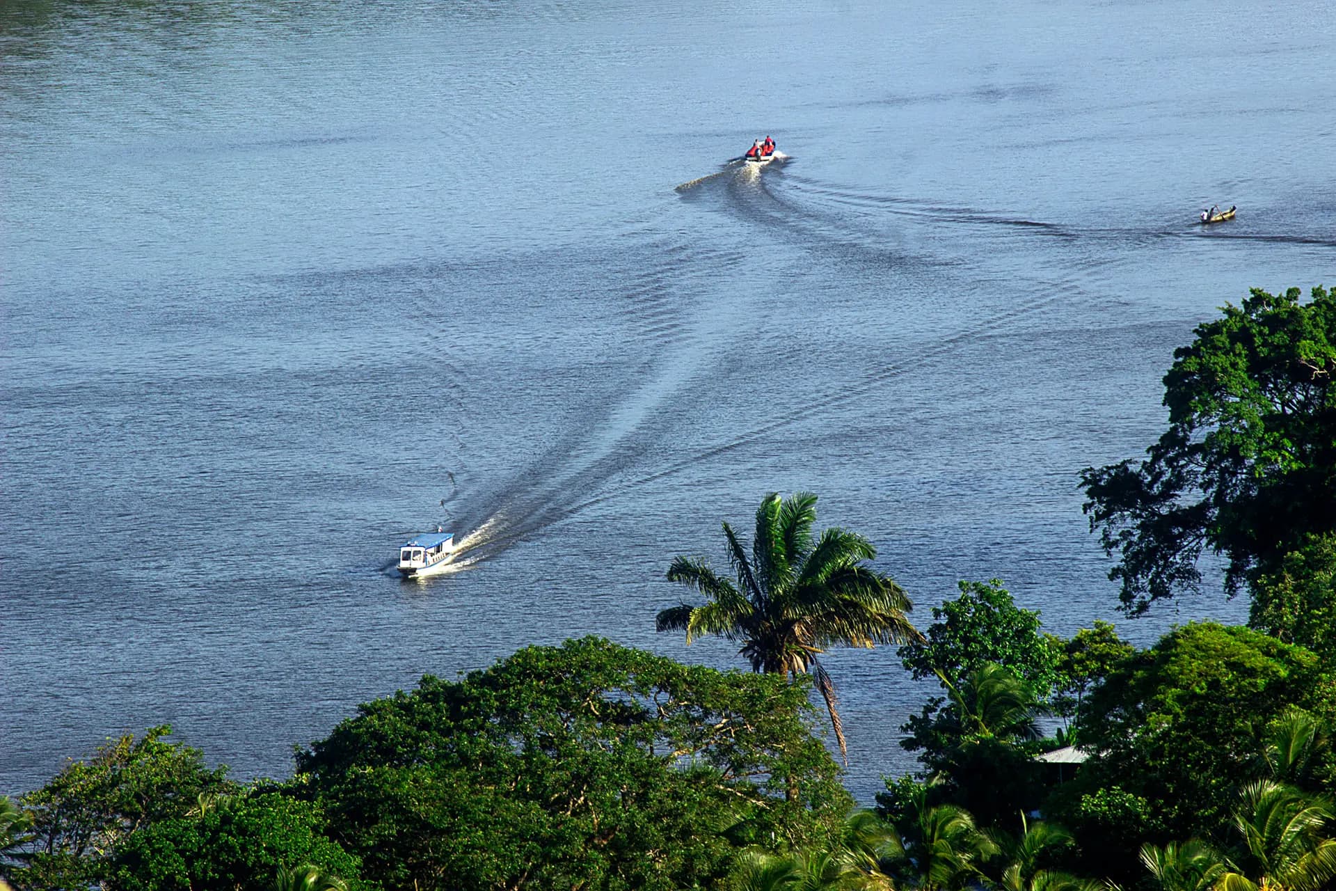 Small boats leaving white wakes across blue water beyond the palms