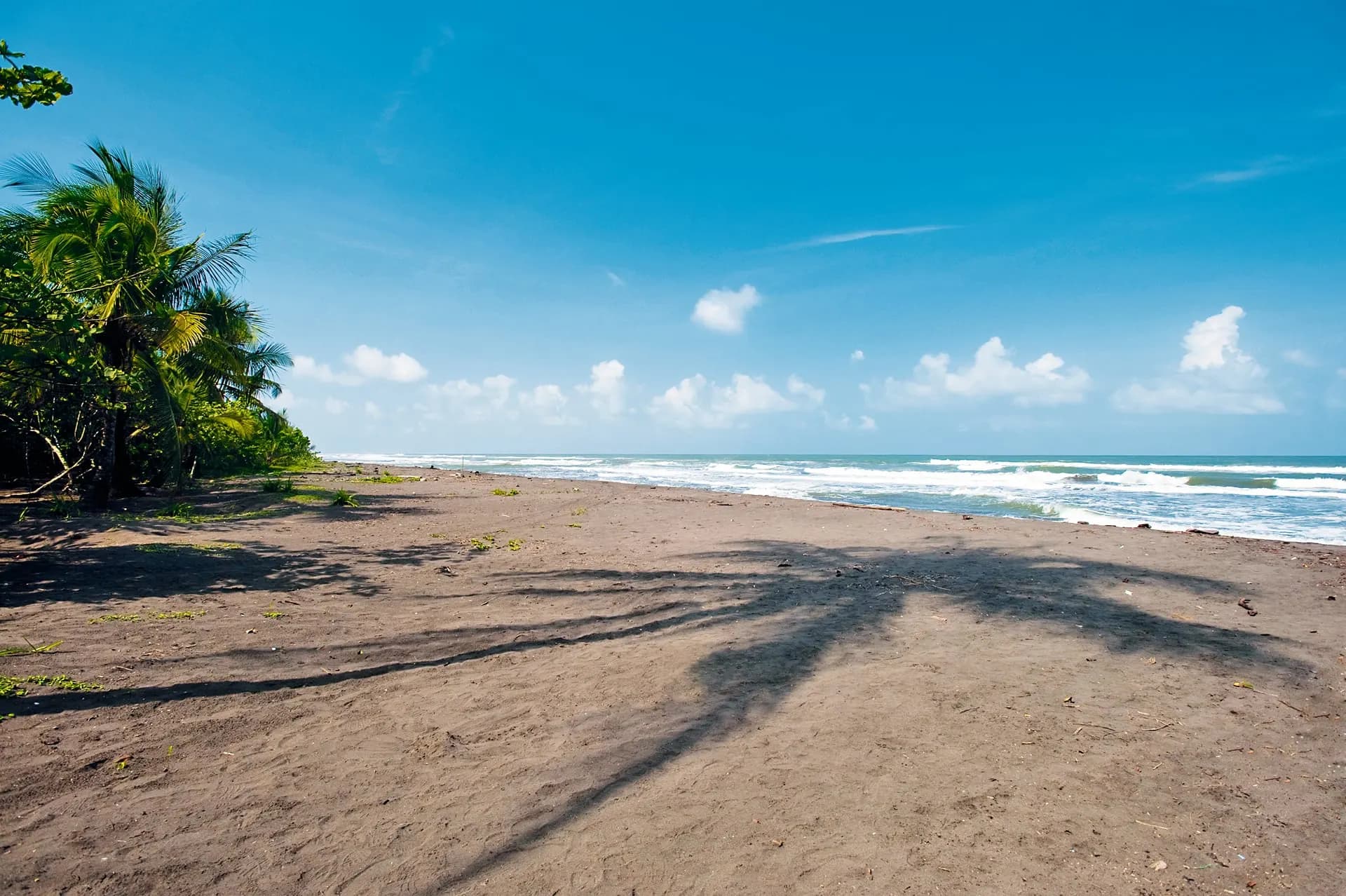 A wide, empty beach with palm shadows on the sand under a blue sky