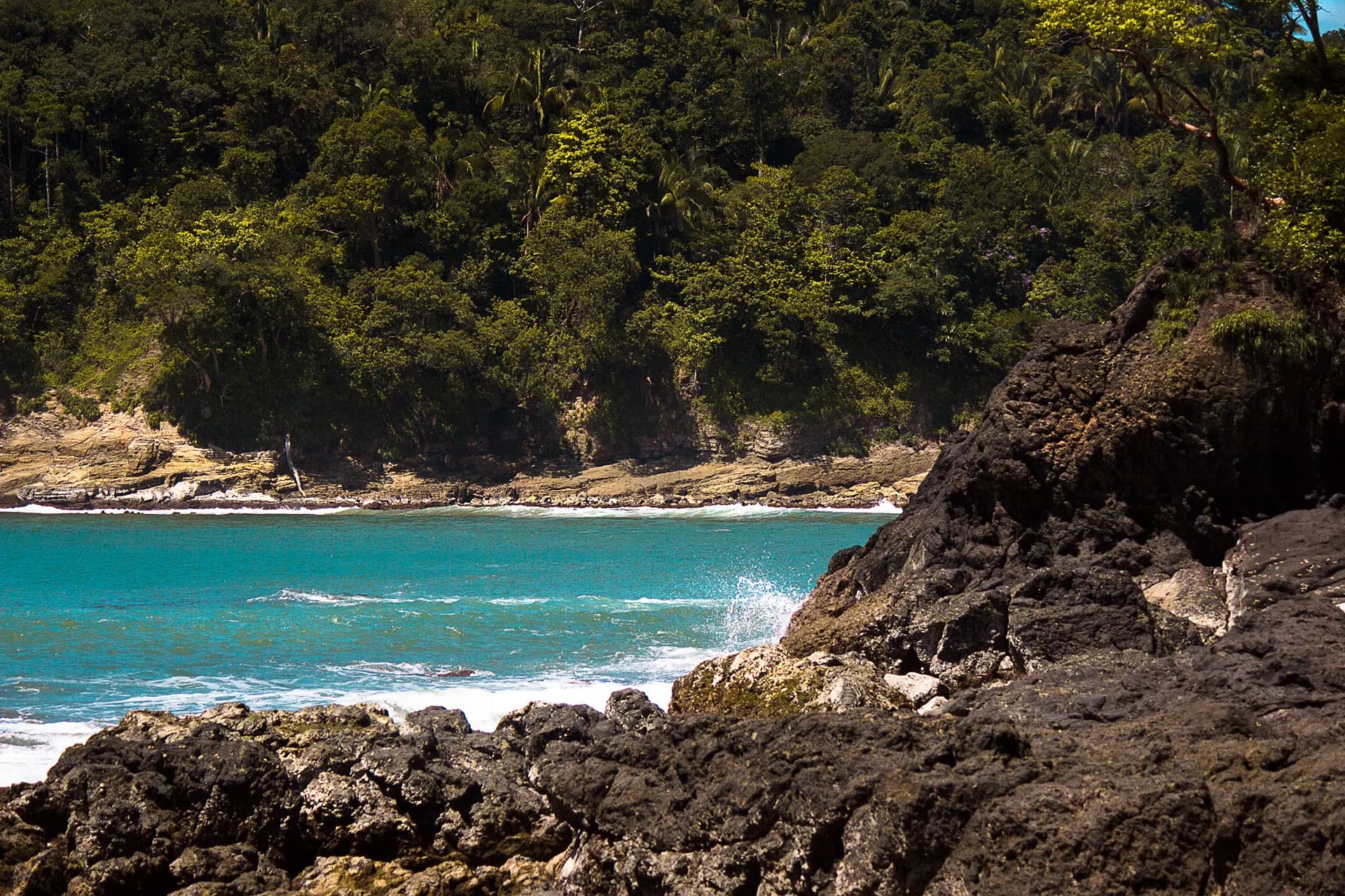 Turquoise water breaking on dark rocks below a forested shore