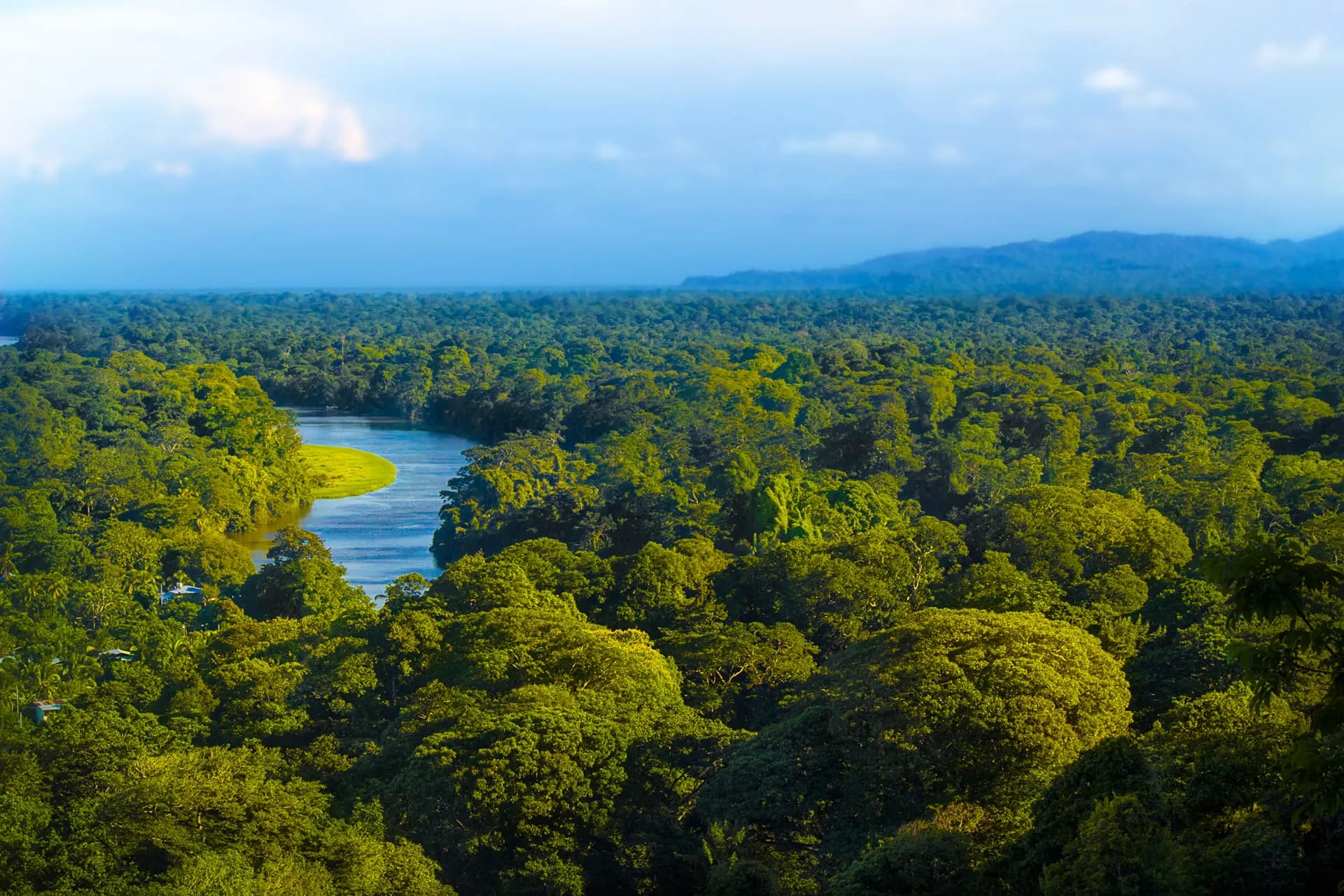 A river winding through dense rainforest towards distant hills
