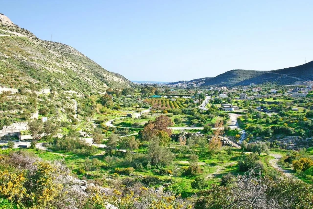 A green valley of orchards and a village between low hills