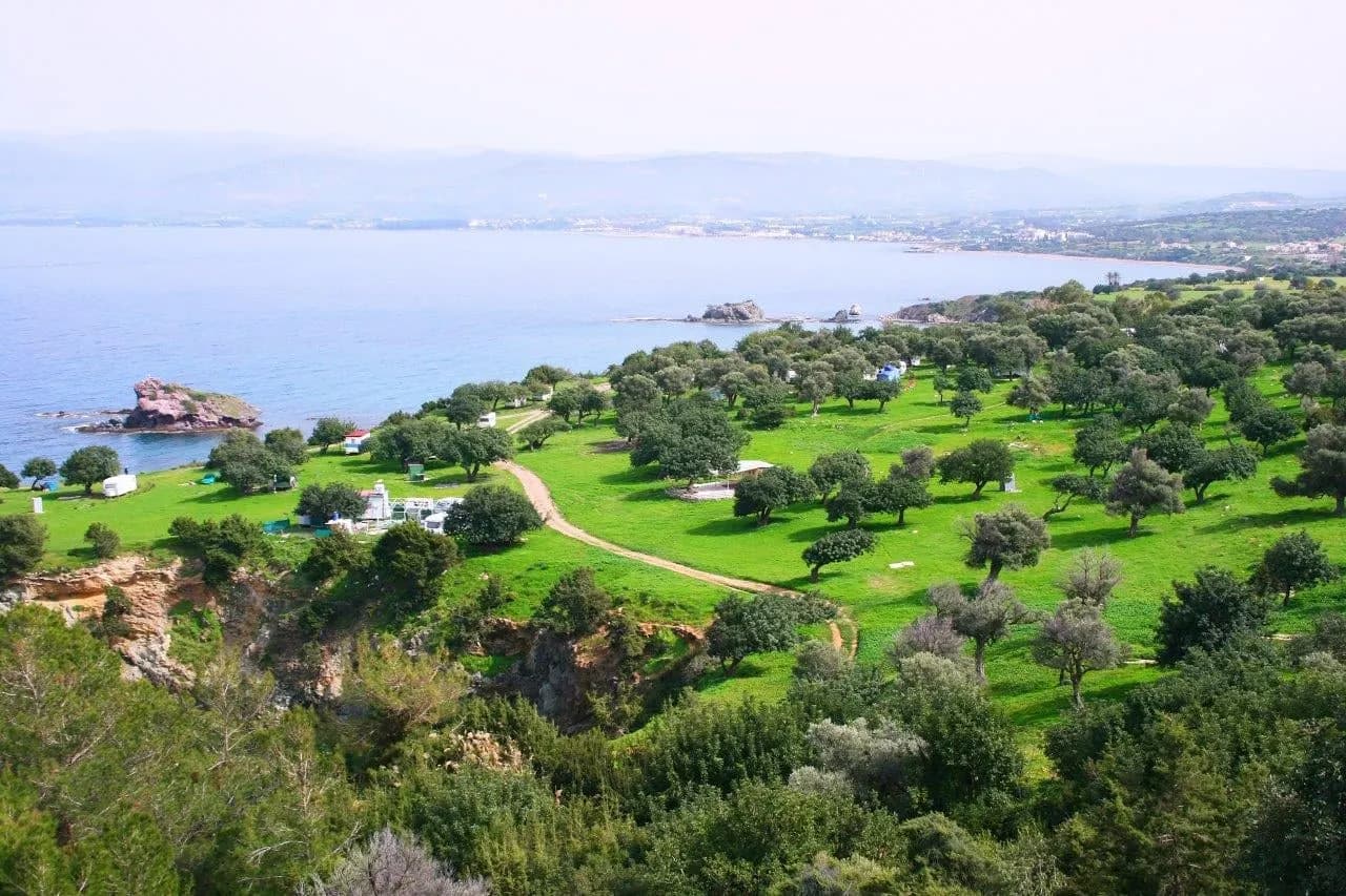 Green lawns and olive trees above a blue bay