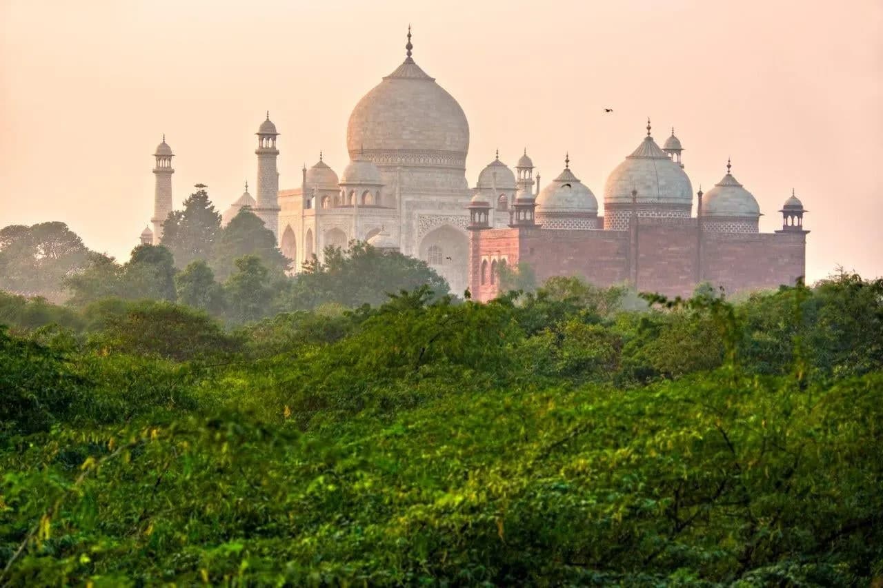 The domes of the Taj Mahal rising above trees in soft evening light