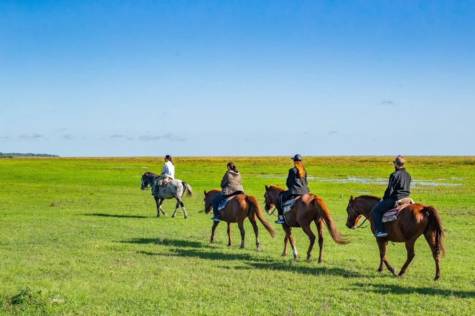 Riders on horseback crossing green wetland grassland under a blue sky