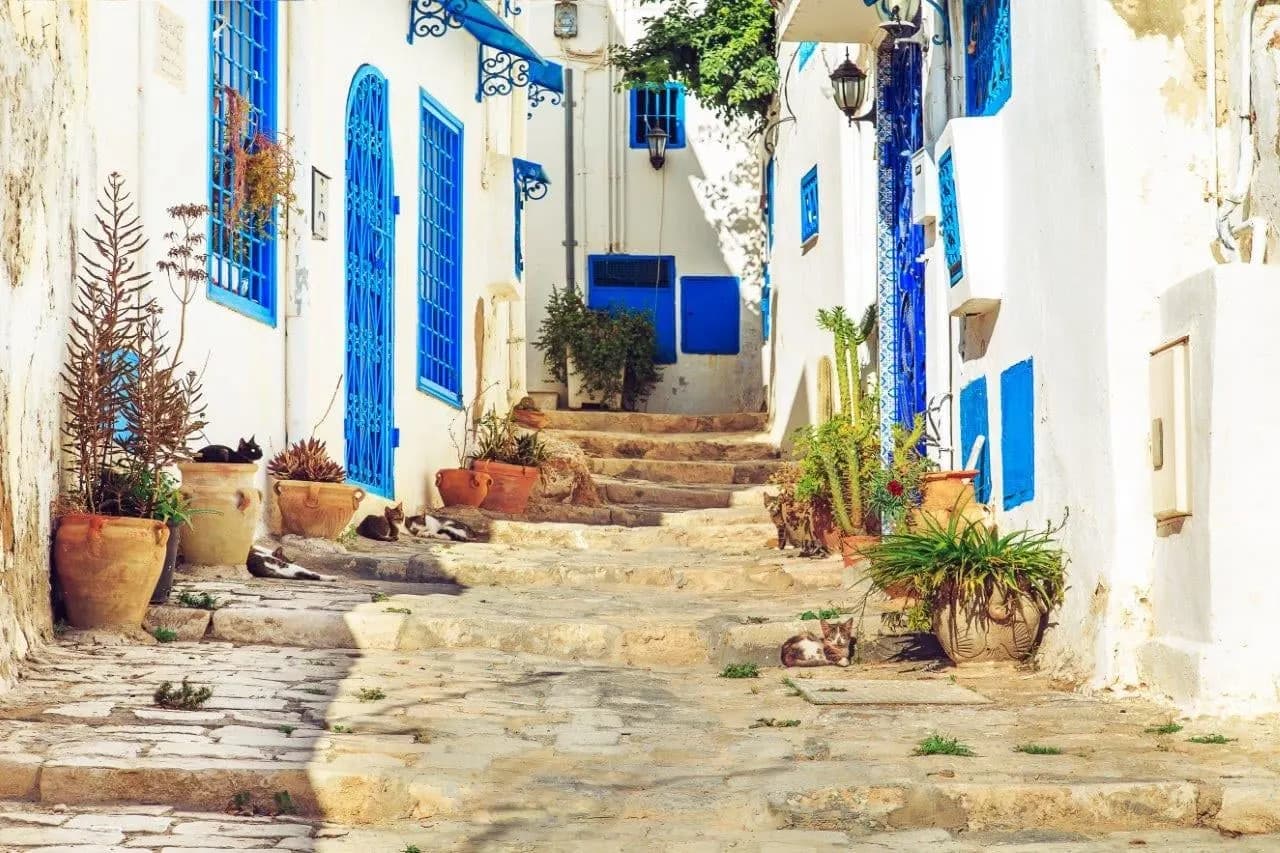 A stepped lane of white houses with blue doors and potted plants