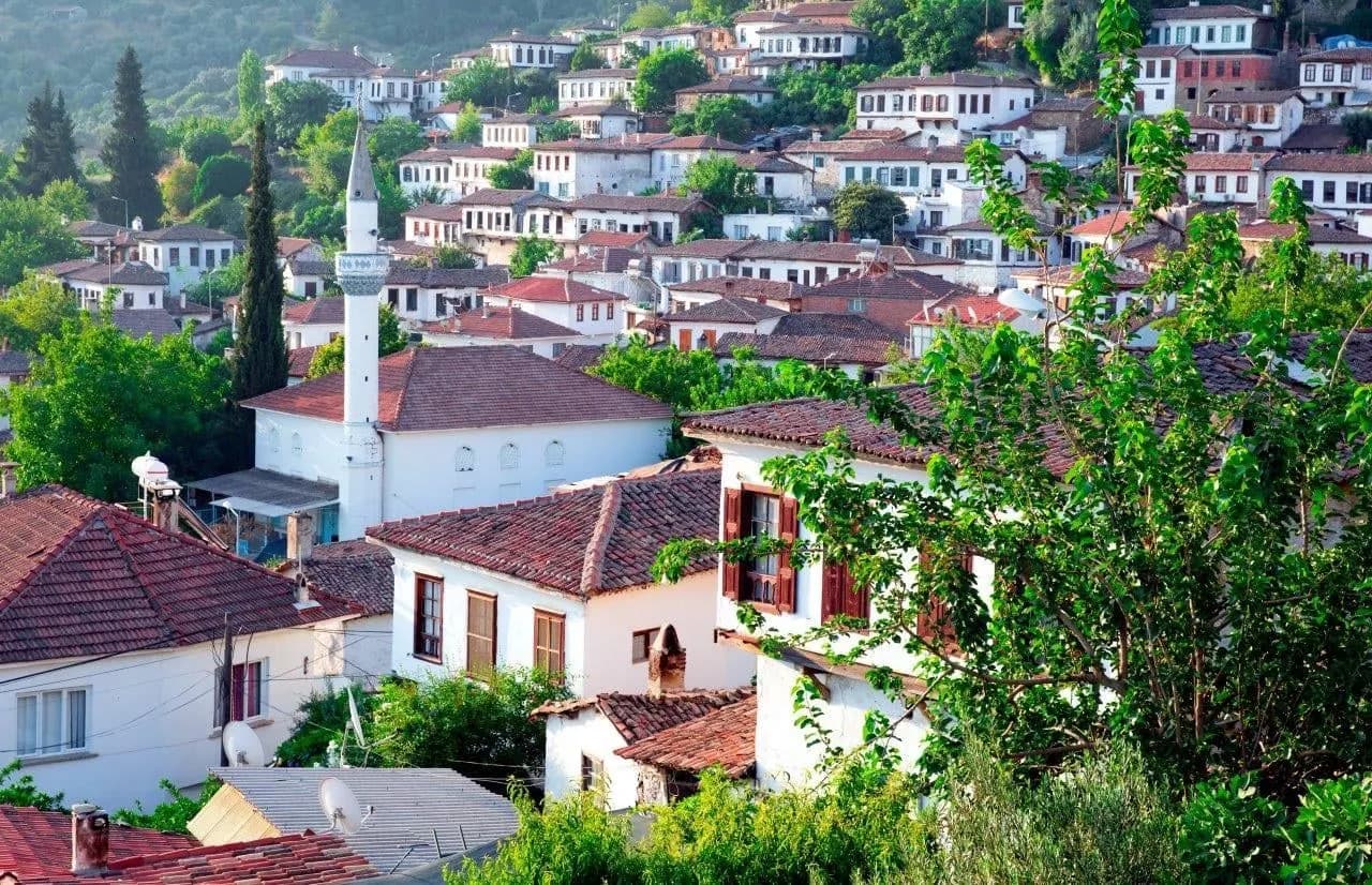 Red-roofed white houses and a minaret on a green hillside in a village near Ephesus