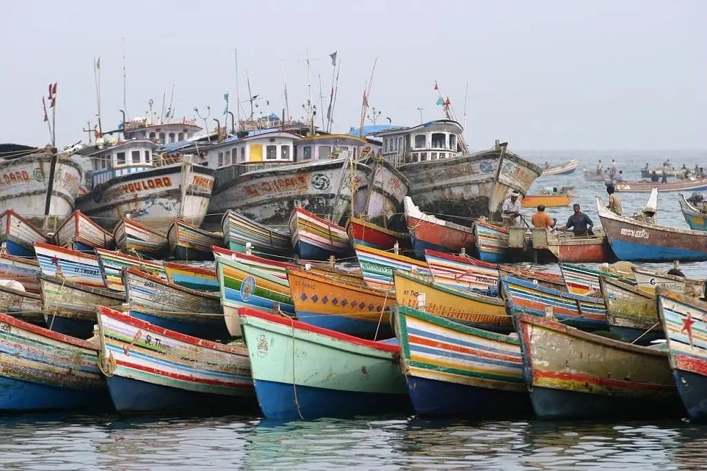 Brightly painted wooden fishing boats moored close together in a Kerala harbour