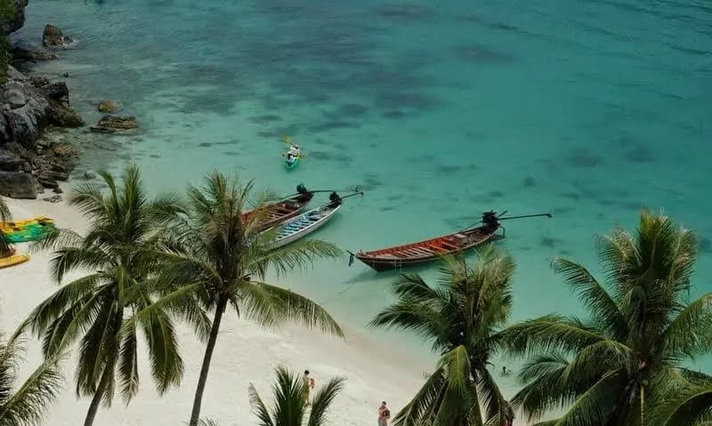 Coconut palms above a white beach, with longtail boats moored in turquoise water